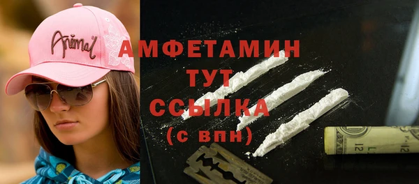молекула духа Алексин
