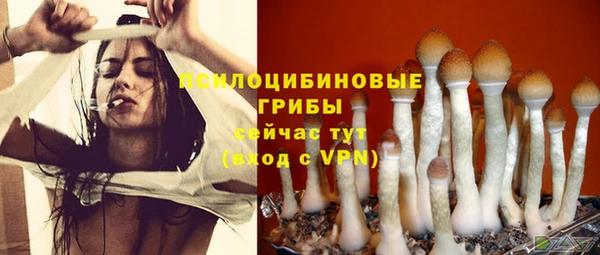 spice Абинск